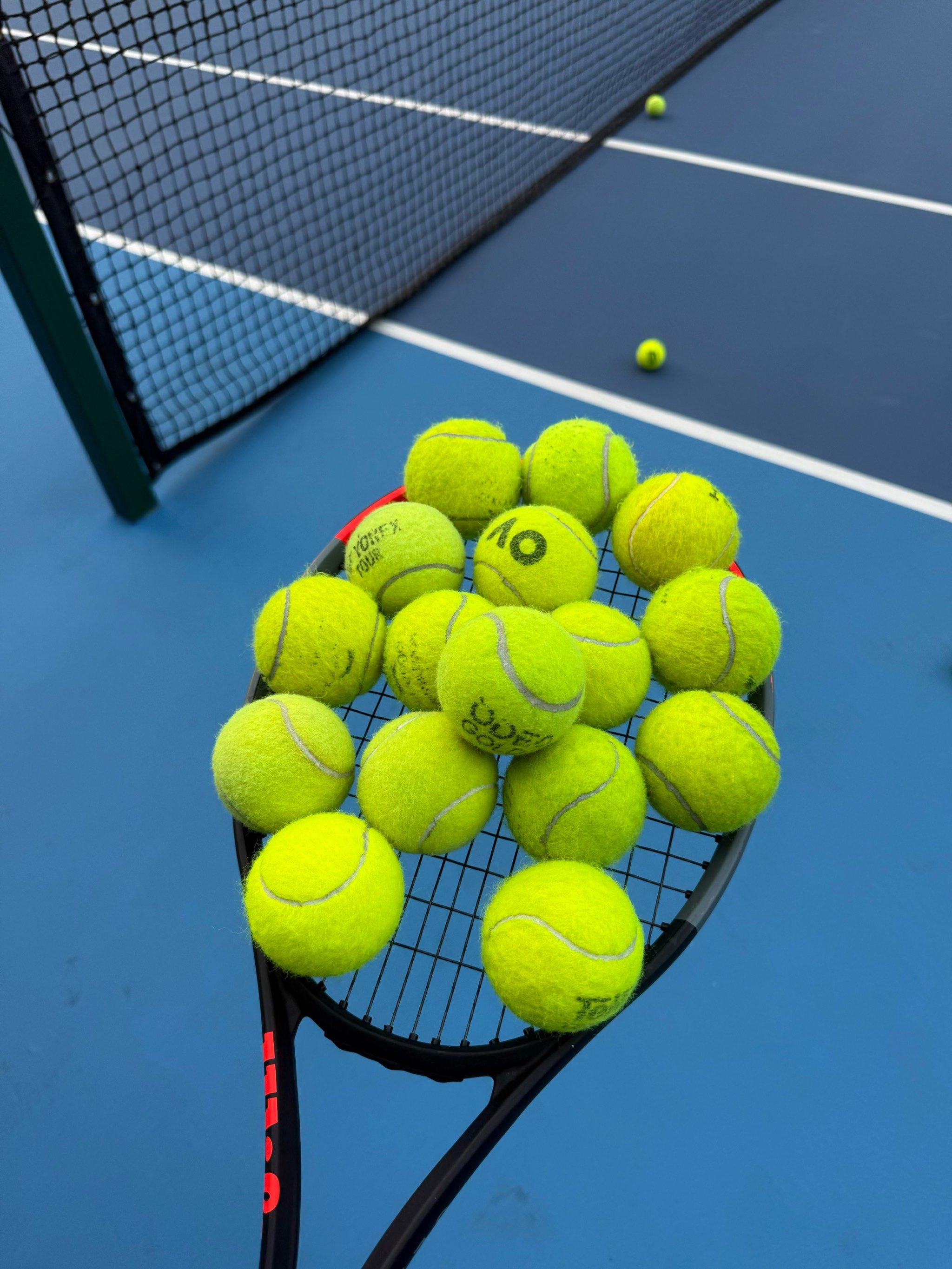 名球员职业 名球员职业