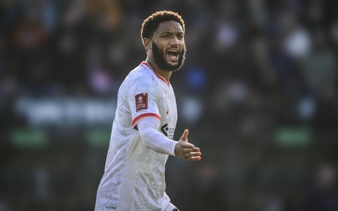 还能介入游 还能介入游