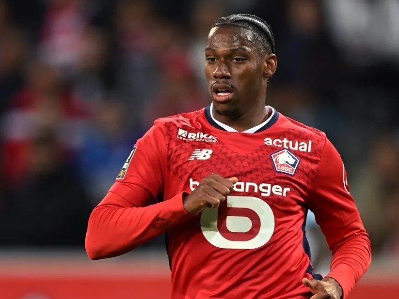 媒体和观众 媒体和观众