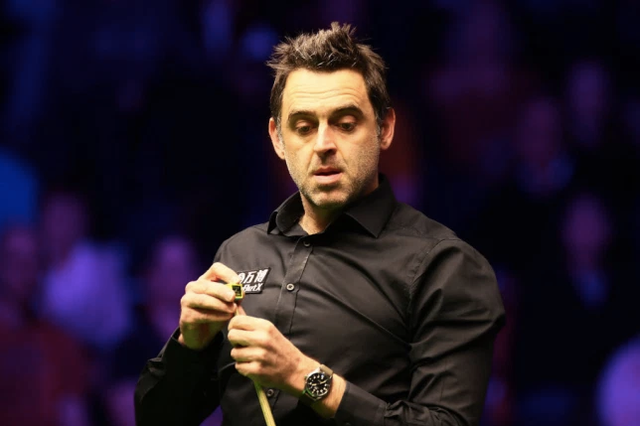 球粉丝的喜 球粉丝的喜